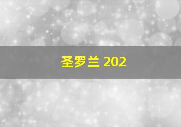 圣罗兰 202